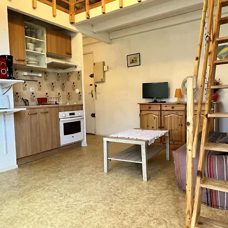 Apartment 2 Pieces Avec Mezzanine, 6 Couchages, Proche A - Fr-1-225-272